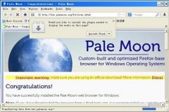 Pale Moon英文安装版(苍月浏览器) V29.3.0