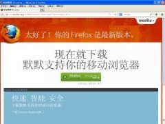 Mozilla Firefox多国语言绿色便携版(火狐浏览器) V58.0