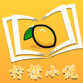 柠檬小说免费阅读版 3.2.3
