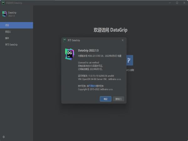 JetBrains DataGrip 2022永久激活版 V2022.1.5