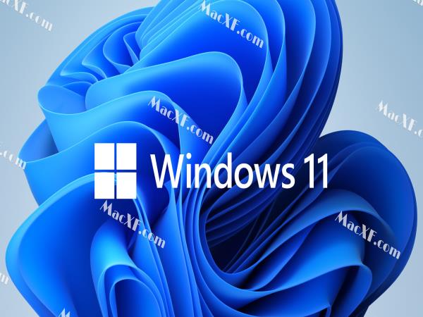 Windows11 21H2 22000.795 RTM 官方中文版