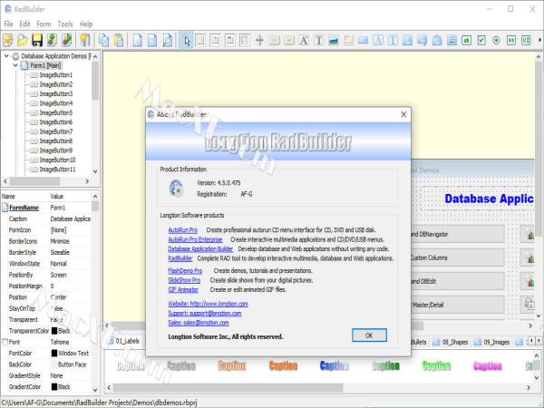 Longtion RadBuilder(rad开发工具) v4.5注册版